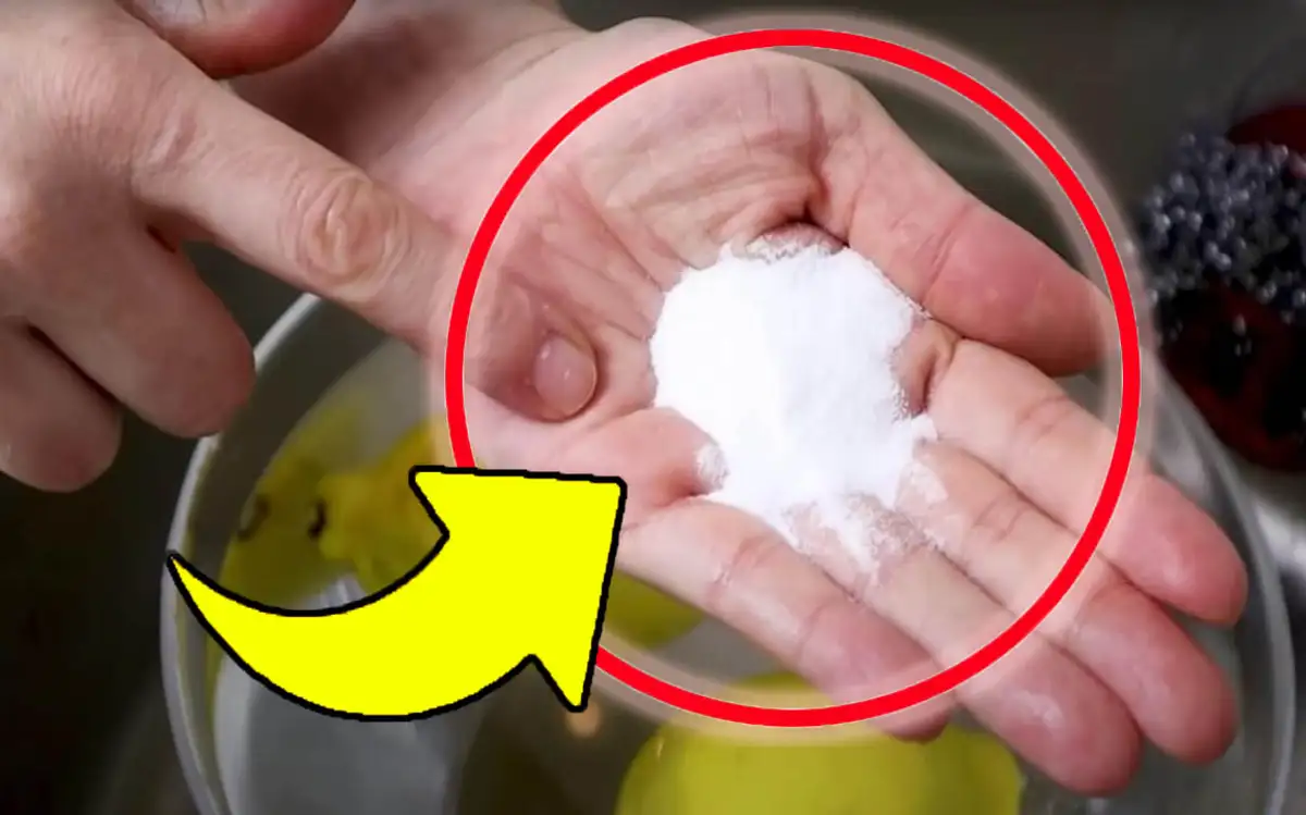 Discover The Ultimate Hack For A Germ Free Kitchen! Eliminate Bacteria And Parasites Now!