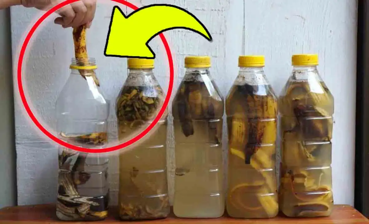Don't Throw Away Banana Peels: Amazing Uses You Didn't Know!
