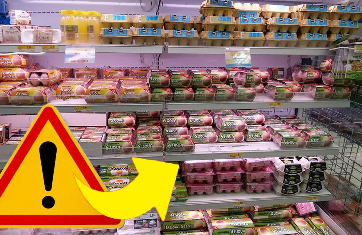 Find Out Which Eggs Failed The Freshness Test At This Supermarket!